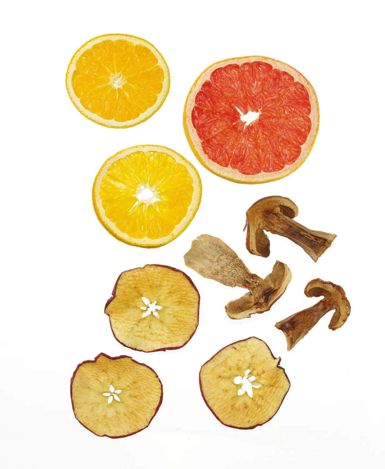 Dehydrator / mattørker i kjøkkenserien for 7 brett – tørking av frukt, bær og kjøtt