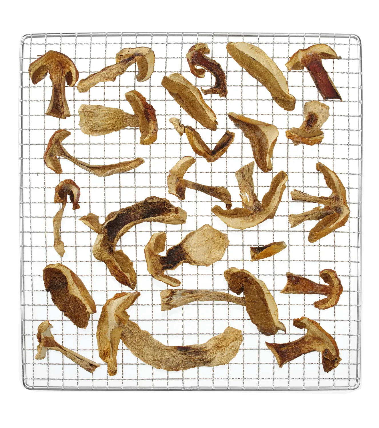 Dehydrator / mattørker i kjøkkenserien for 7 brett – tørking av frukt, bær og kjøtt