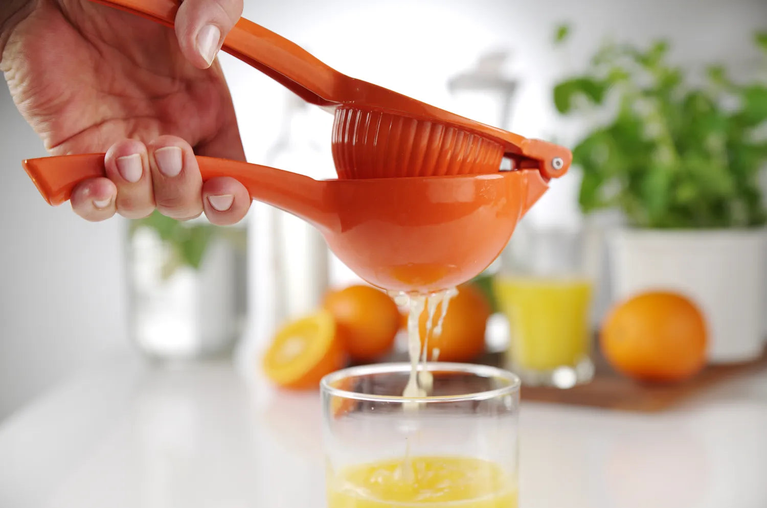 Sitruspresse / juicer i aluminium med fargekoder for sitron, lime og appelsin