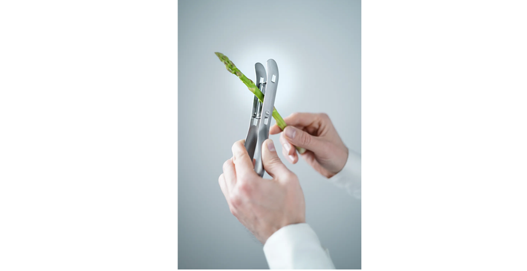 Effektiv skreller i rustfritt stål, perfekt for lange grønnsaker som asparges eller gulrot