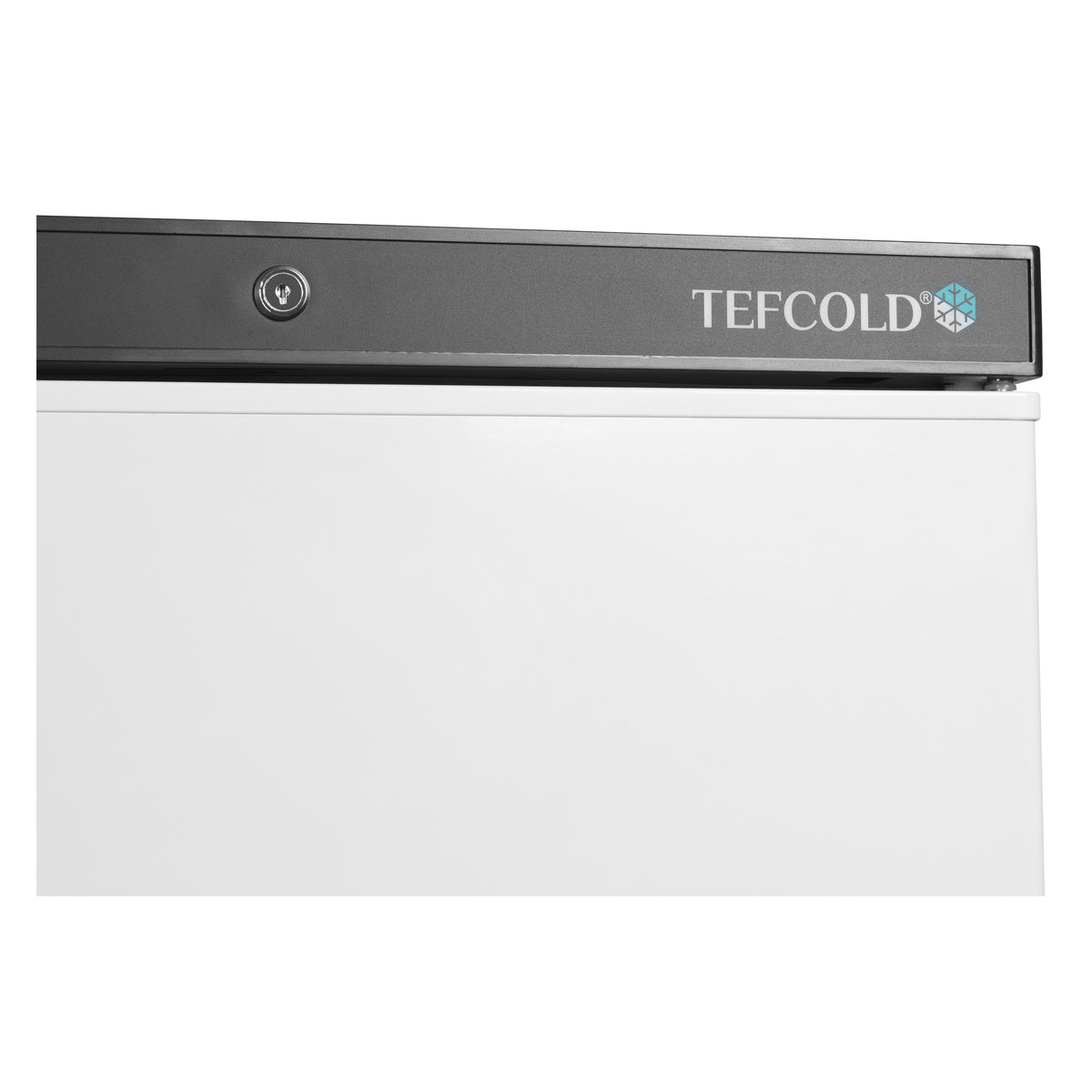 Tefcold UF200V – produktbilde 4